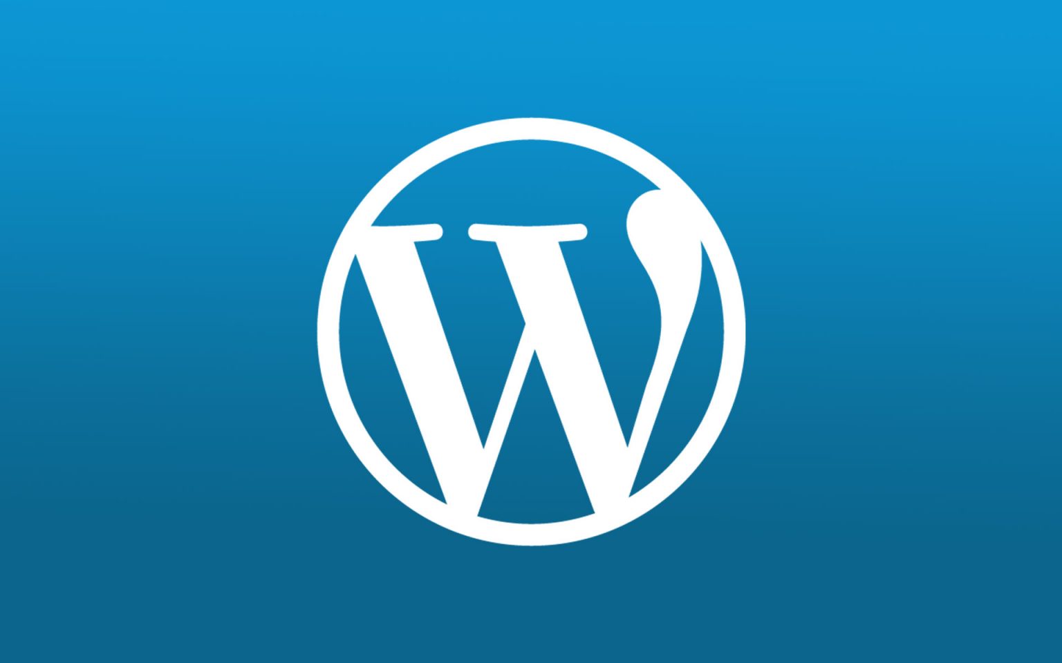 Wordpress 6.5